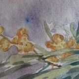 Tableau ancien aquarelle aux raisins