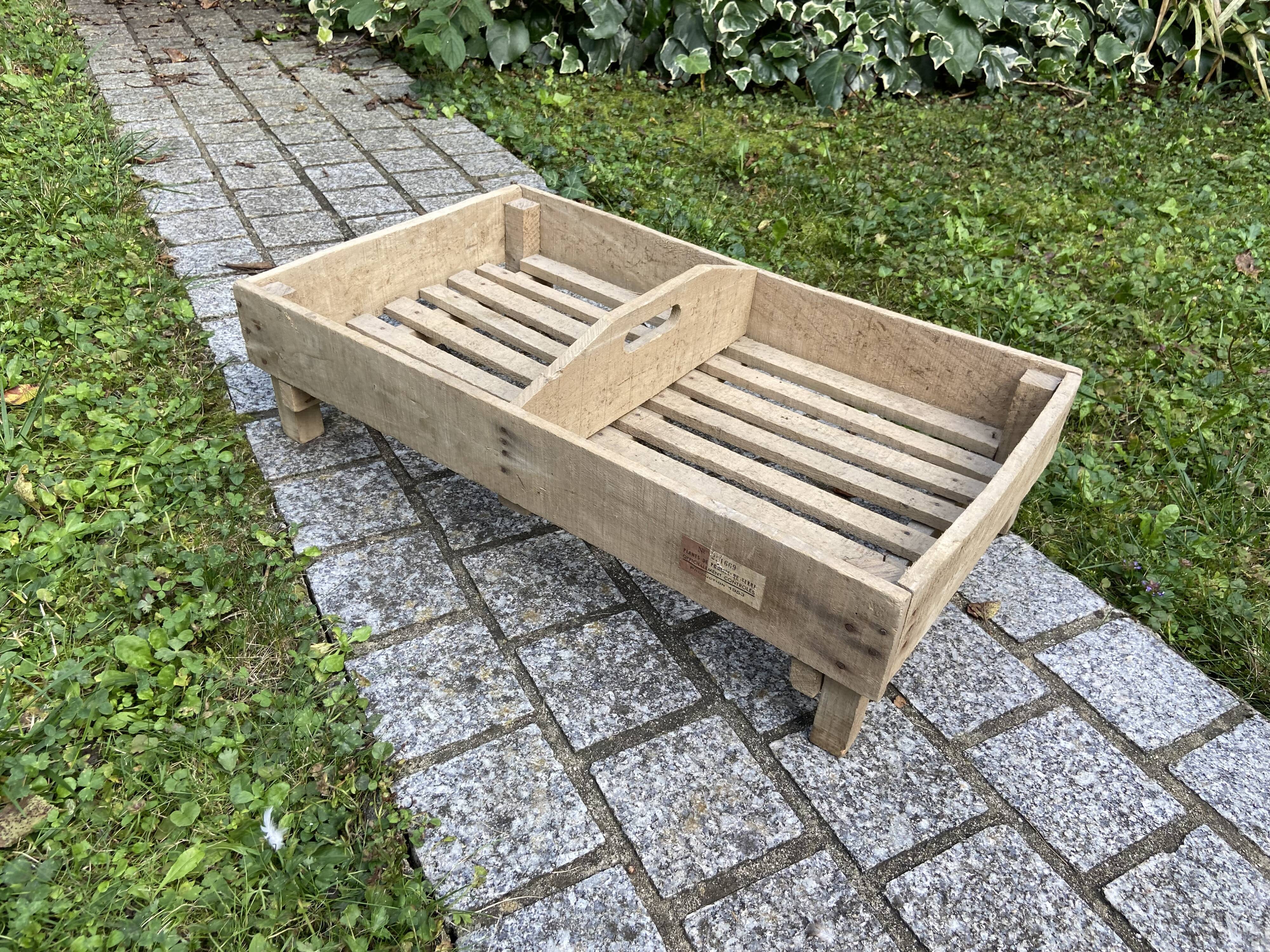 Shelf wooden box primeur decorative top