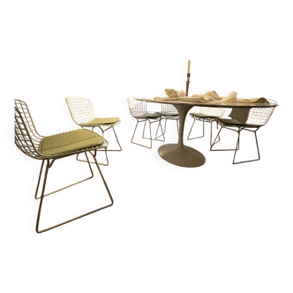 6 Chaises Harry BERTOIA, designer,Knoll éditeur