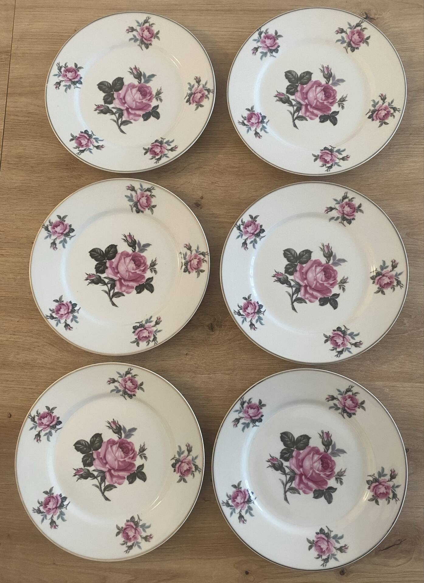 Set of 6 Limoges porcelain plates by Michelaud Frères – decorative f