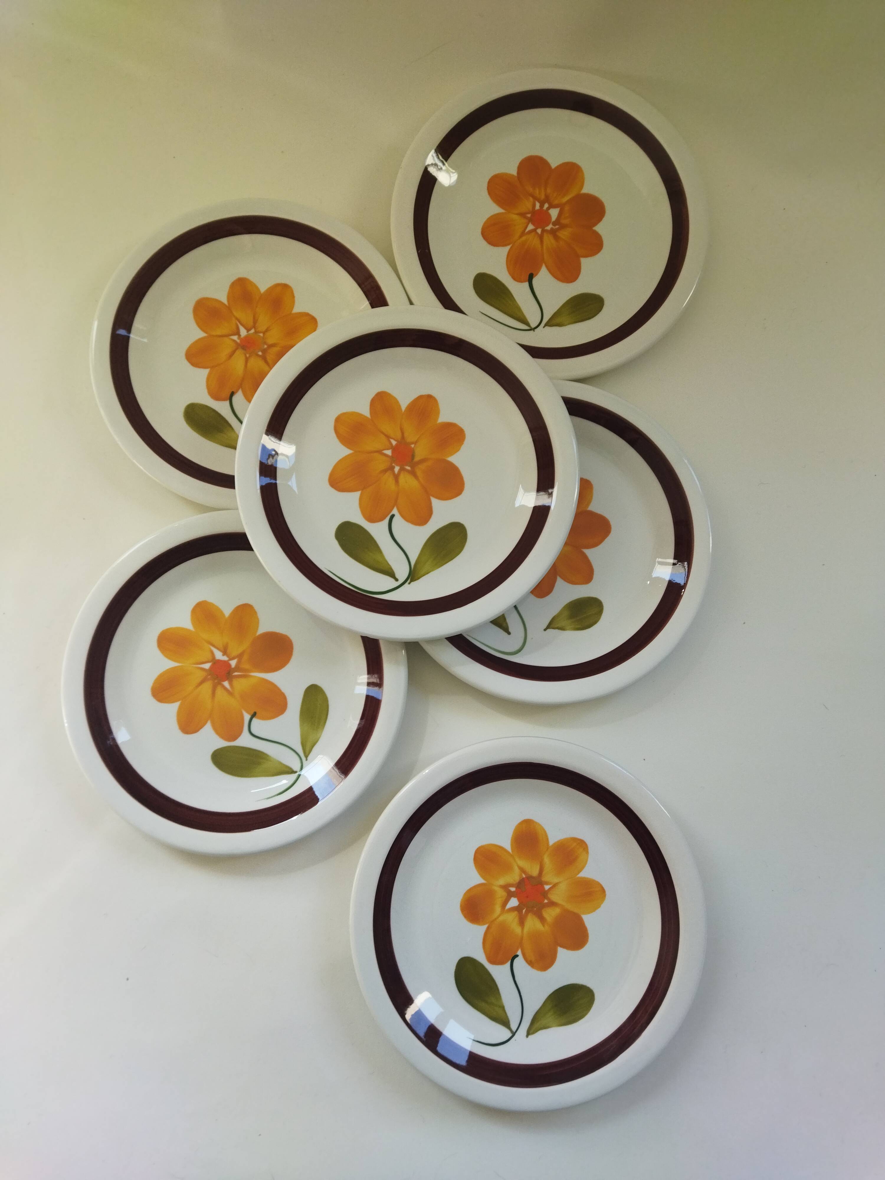 6 plates in vintage Italian earthenware 1970