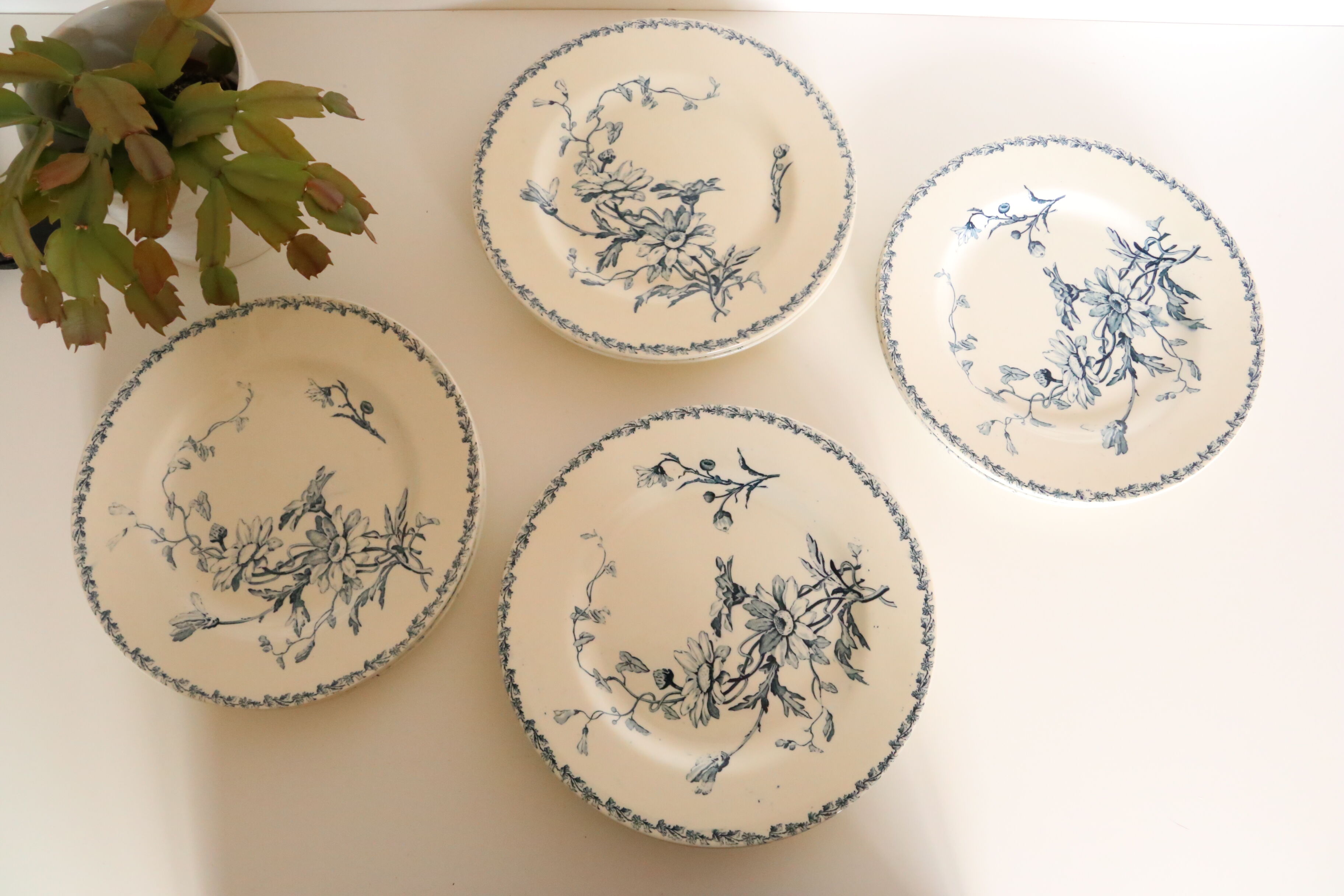 Plate Luneville Marguerite motif