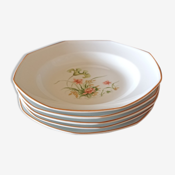 5 assiettes creuses en porcelaine de Sologne nénuphars