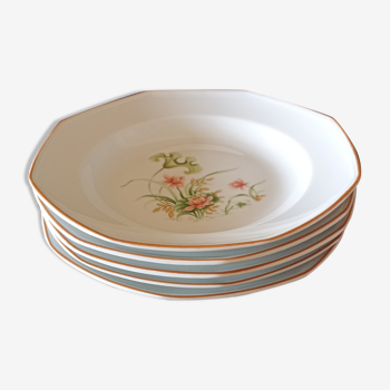 5 hollow plates in Sologne Porcelain - Water Lilies