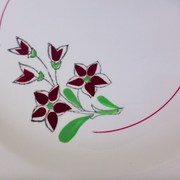 Set of 4 vintage porcelain dinner plates from the Salins factory