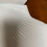 Shellfish plates