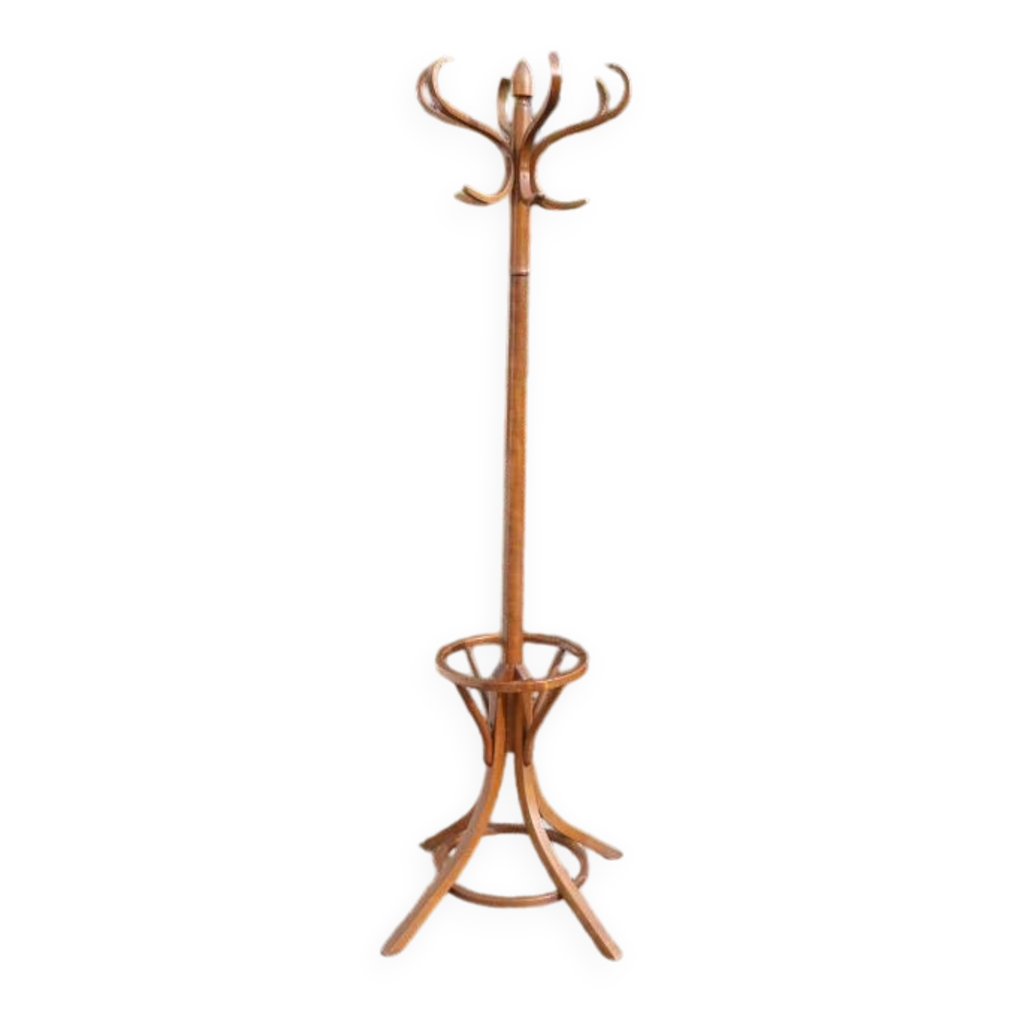 BAUMANN parrot coat rack dark beech umbrella stand olive head