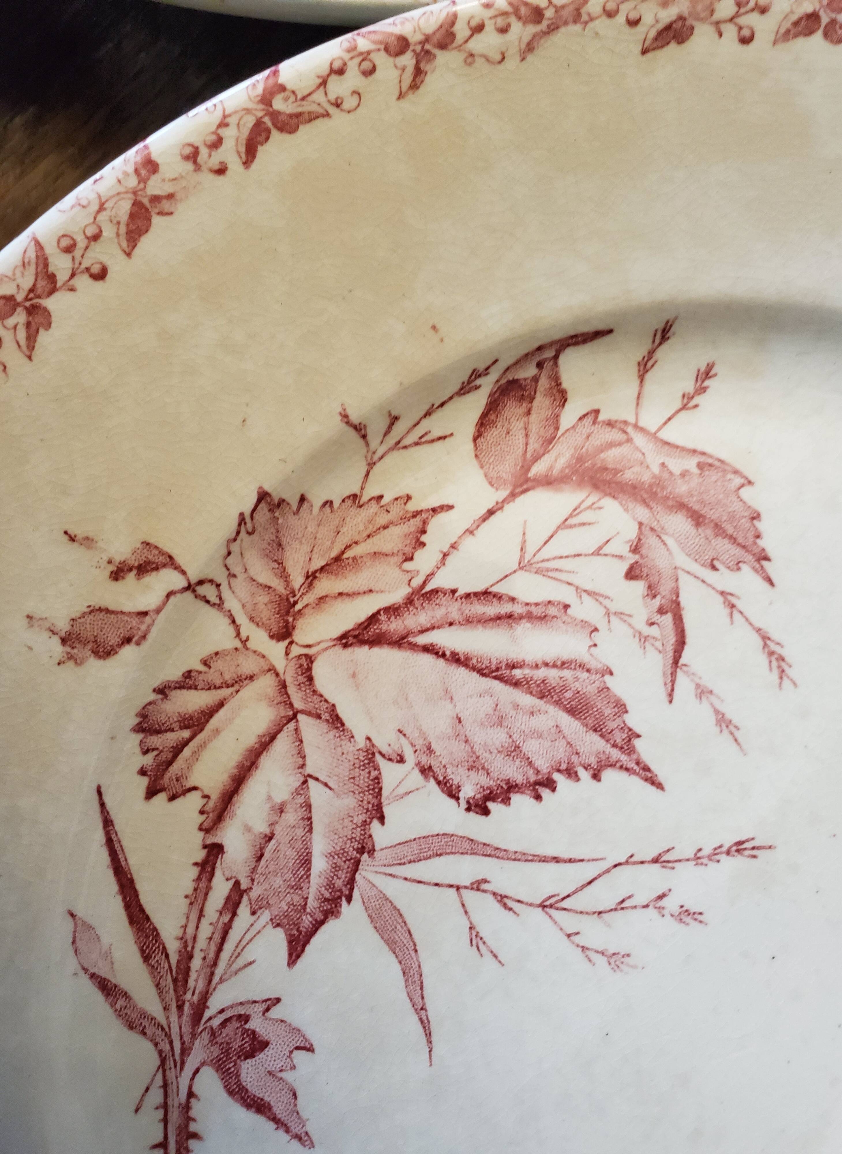 Assiettes terre de fer rose collection "mûres"