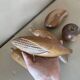 Lot of carved wooden fruits