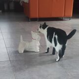 Ceramic zoomorphic dog statue