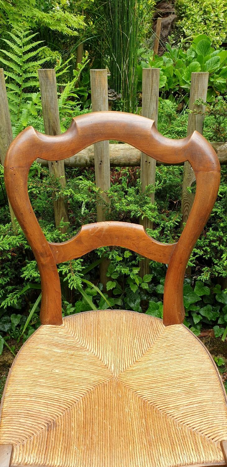 Louis Philippe chair in cherry wood circa 1900