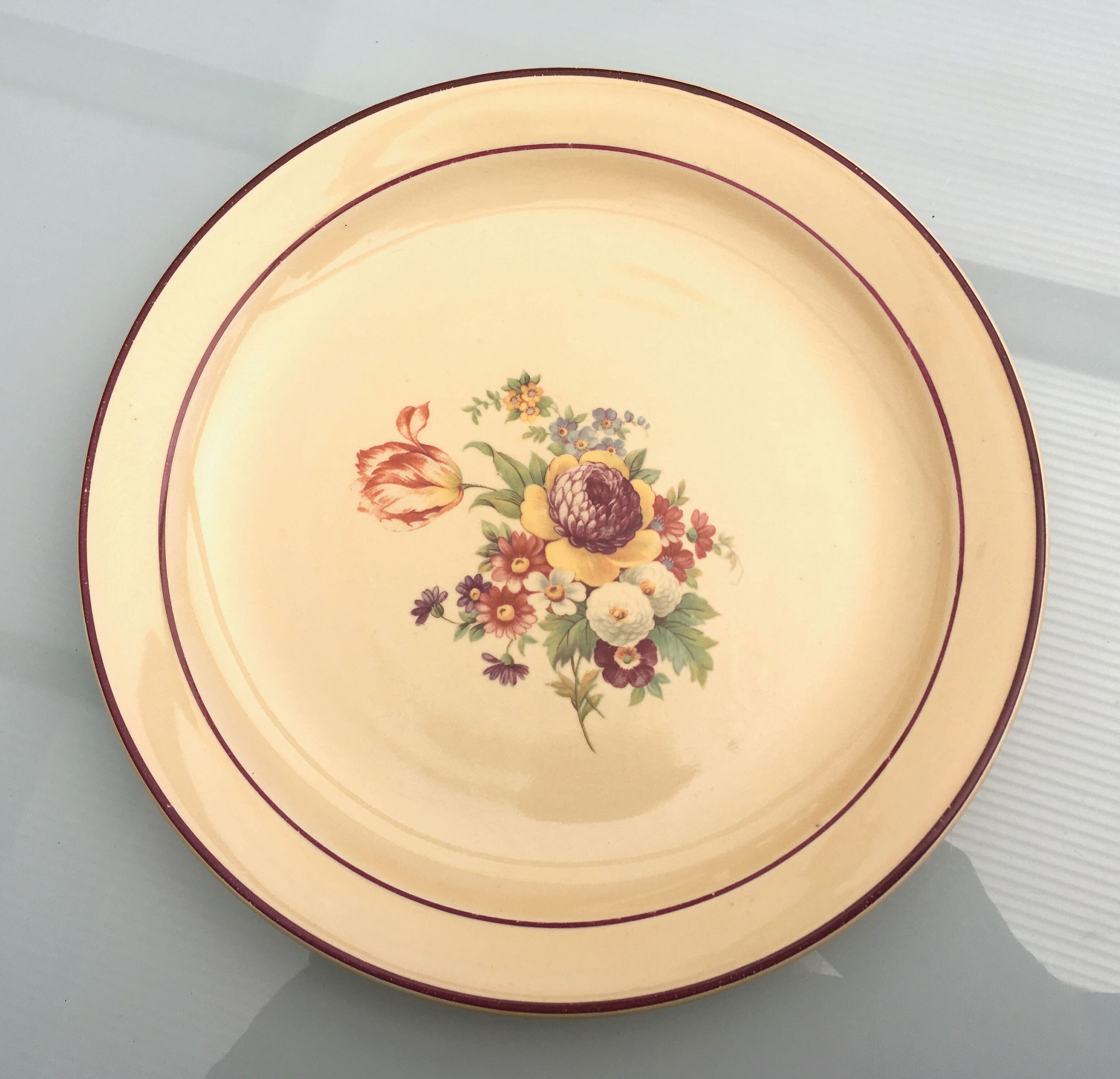 Set of 12 flat plates of Salins earthenware