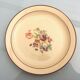 Set de 12 assiettes plates faïence de Salins