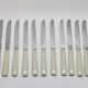 Household box of 12 vintage stainless steel knives and unbreakable resin