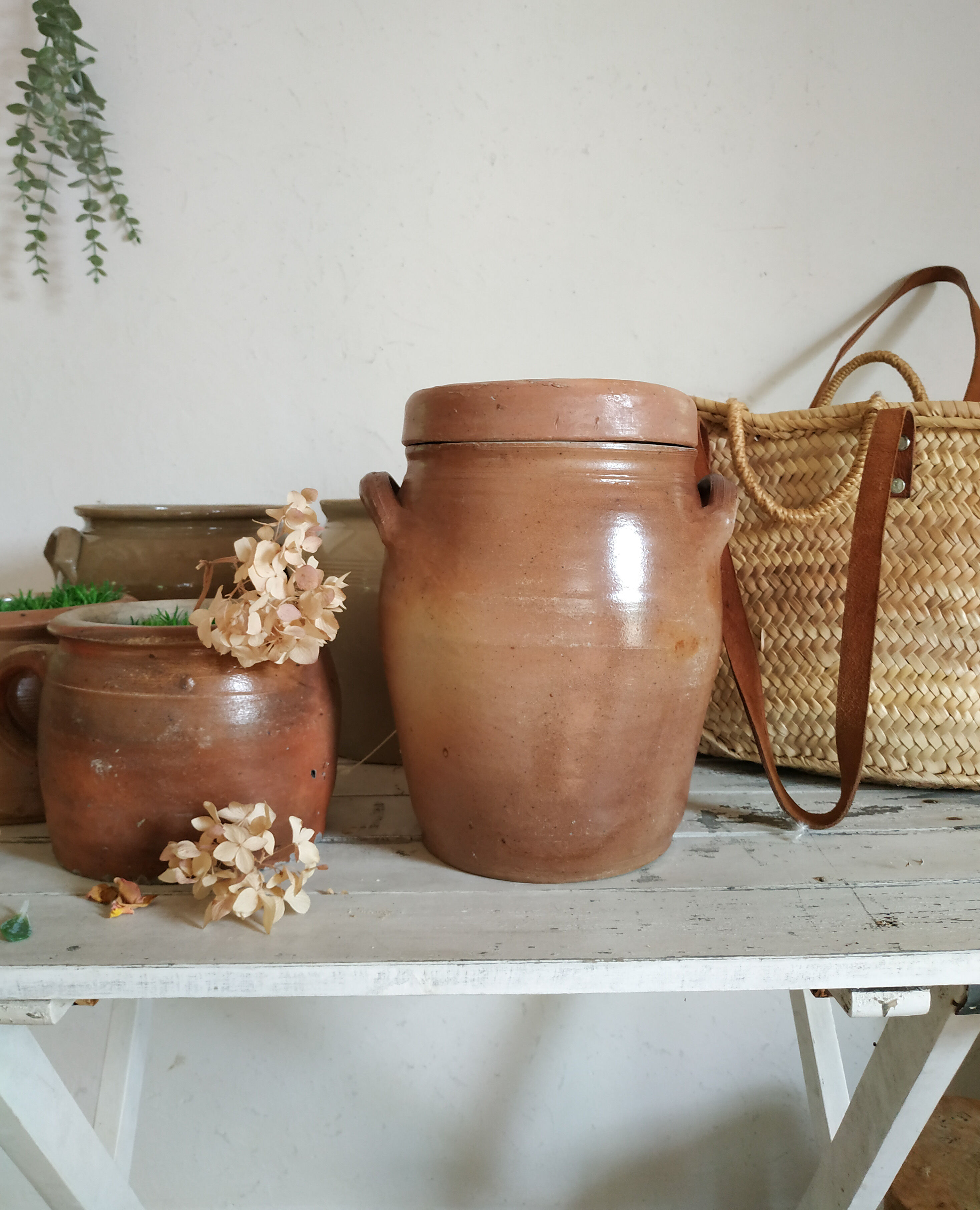 Old terracotta pot with lid