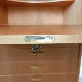 Vintage Scandinavian teak wall unit