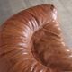 Croissant Sofa in Cognac Leather by Raphael Raffel for Honore Paris, 1970s