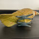 Vintage enamelled metal parakeet paperpress