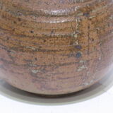 pitcher-gourd