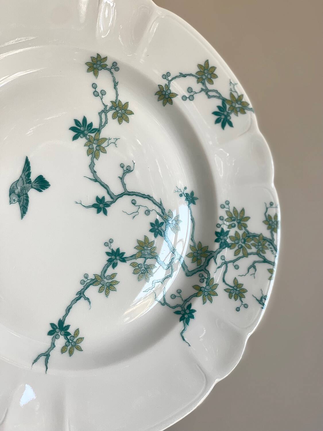 8 Haviland Limoges dinner plates.