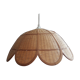 Suspension rotin