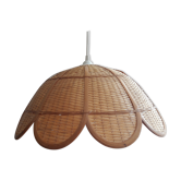 Suspension rotin