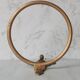 Brass swan head towel rack