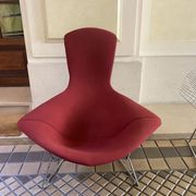 Fauteuil Bertoia Bird édition Knoll 1970