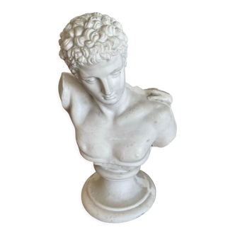 Epmhe plaster bust