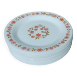 10 vintage Scania dessert plates