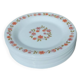 10 vintage Scania dessert plates