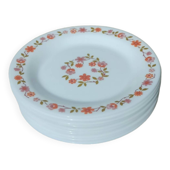 Rebus plate Jules Vieillard in Bordeaux Napoleon Bonaparte