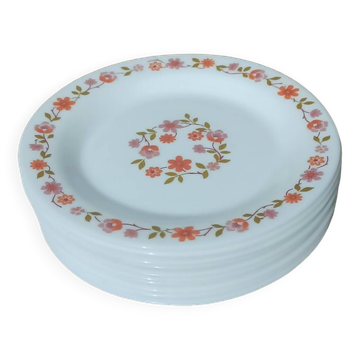 10 vintage Scania dessert plates
