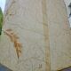 Brass floor lamp
