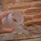 Glass tulip for lamp