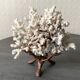 Corail blanc grand modèle 1960 sur bois sculpté