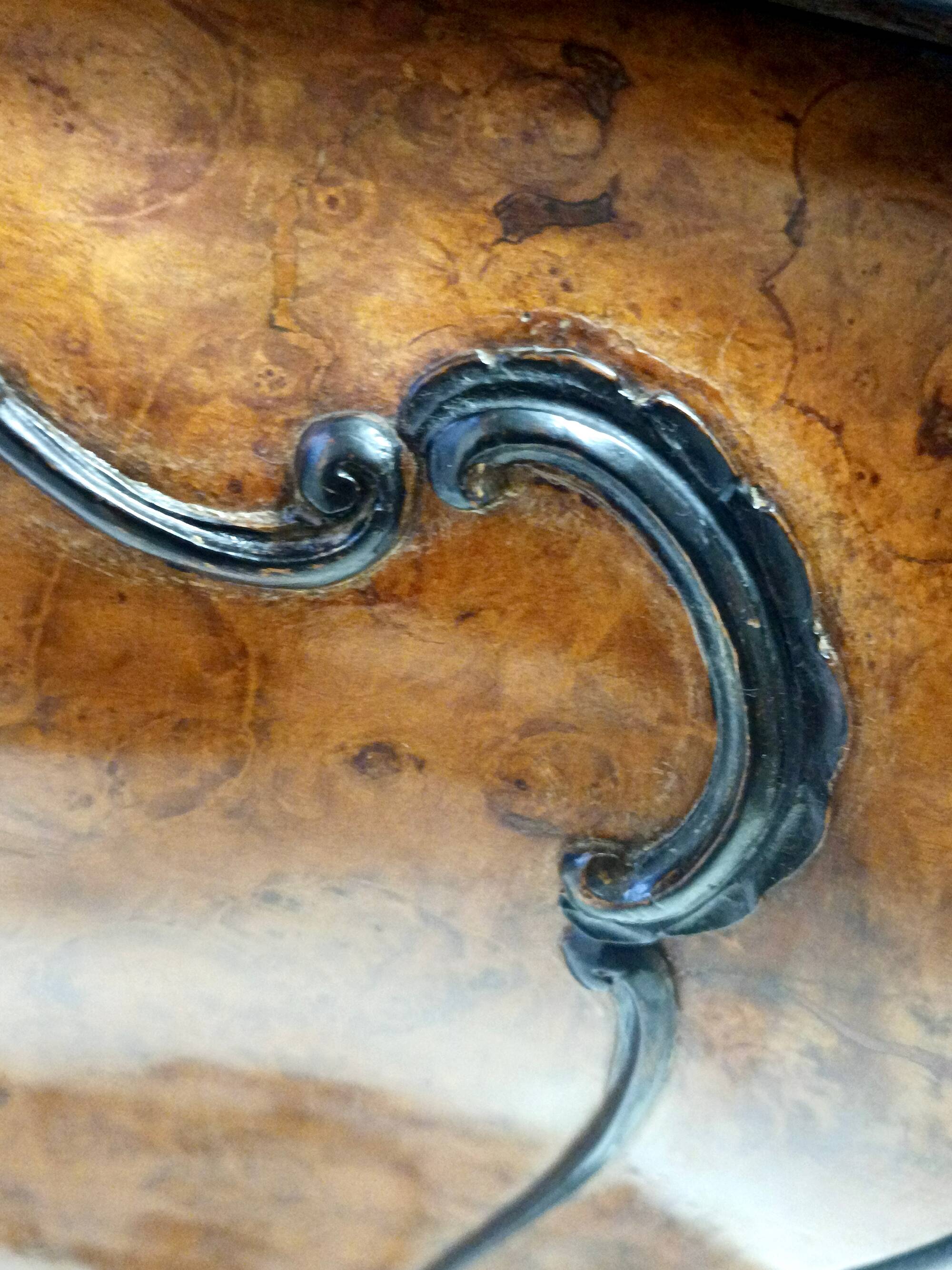 Ebonized Beech and Walnut-Root Cabinet with a Glass Top, Brianza, Italy
