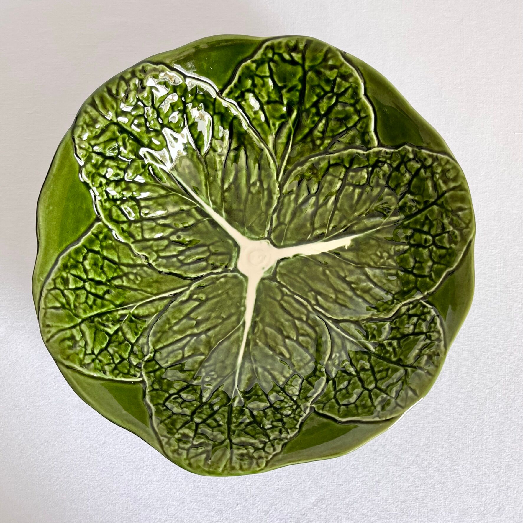 Salad bowl slurry Costa Pereira Portugal cabbage leaves