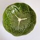 Salad bowl slurry Costa Pereira Portugal cabbage leaves