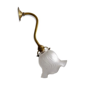 Gooseneck frosted glass Tulip applique