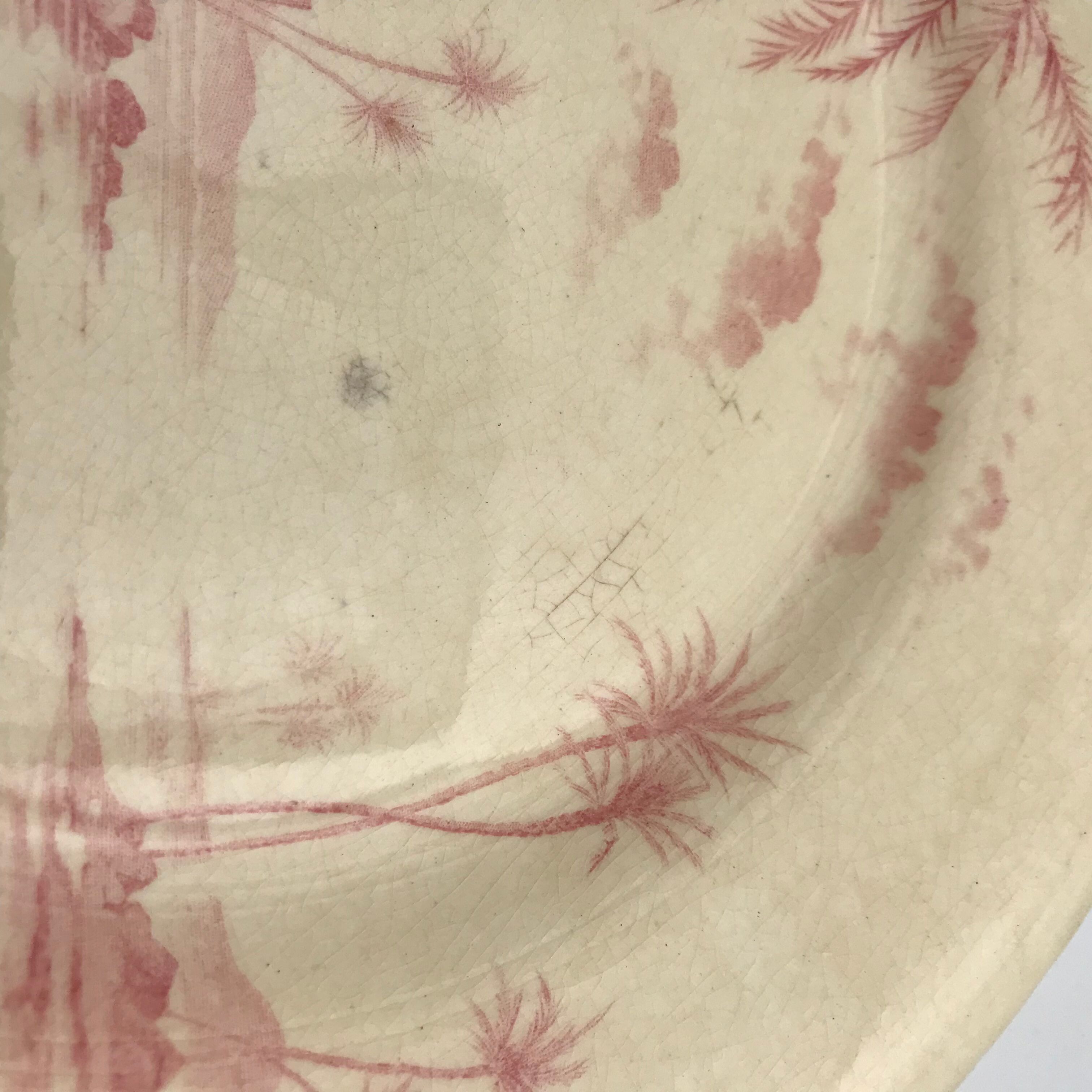 6 flat plates views of shabby pink orient