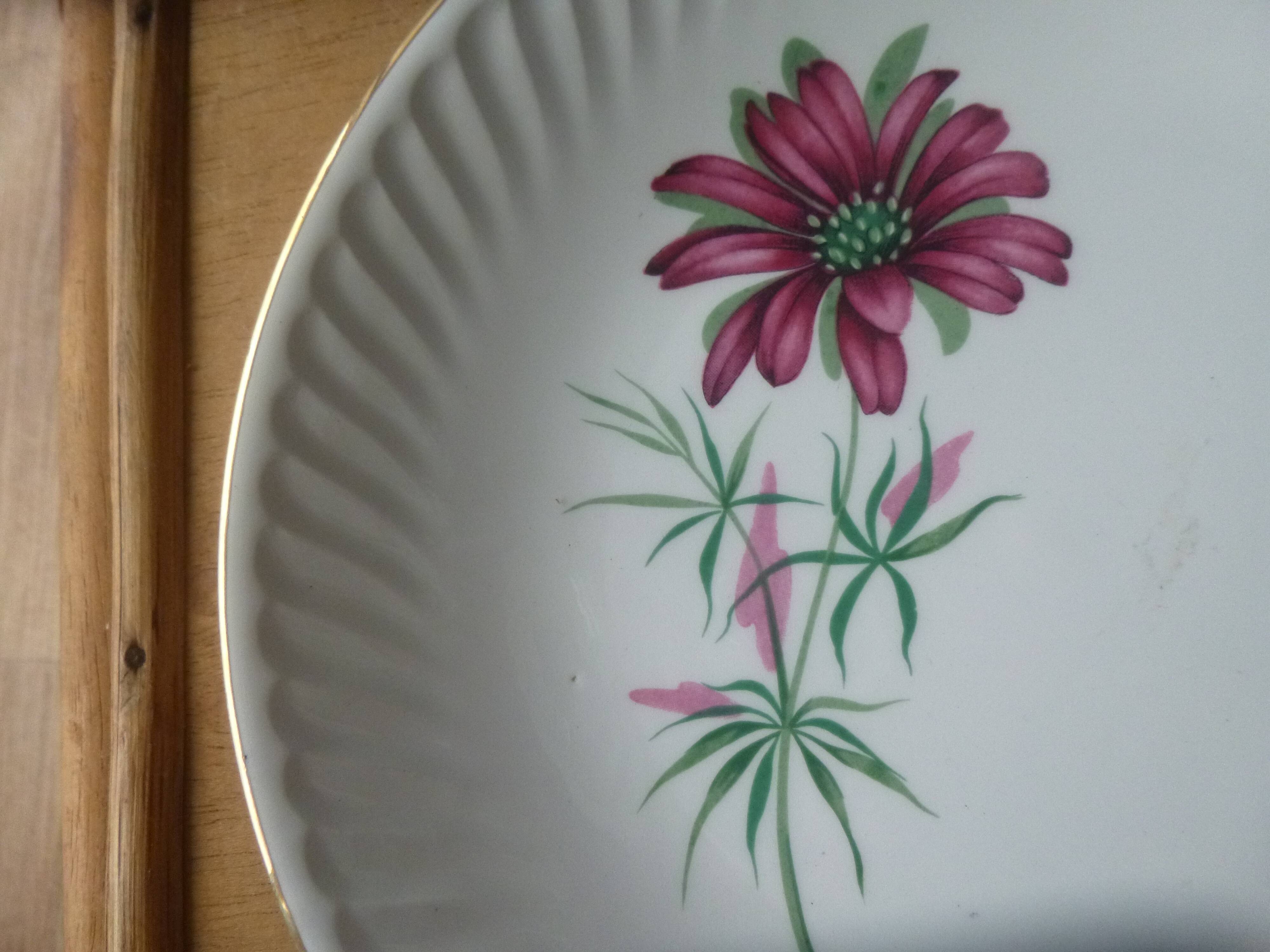 Flat plate gien model Malmaison