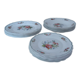 18 Ronsard plates, Arcopal, flat, deep, dessert.