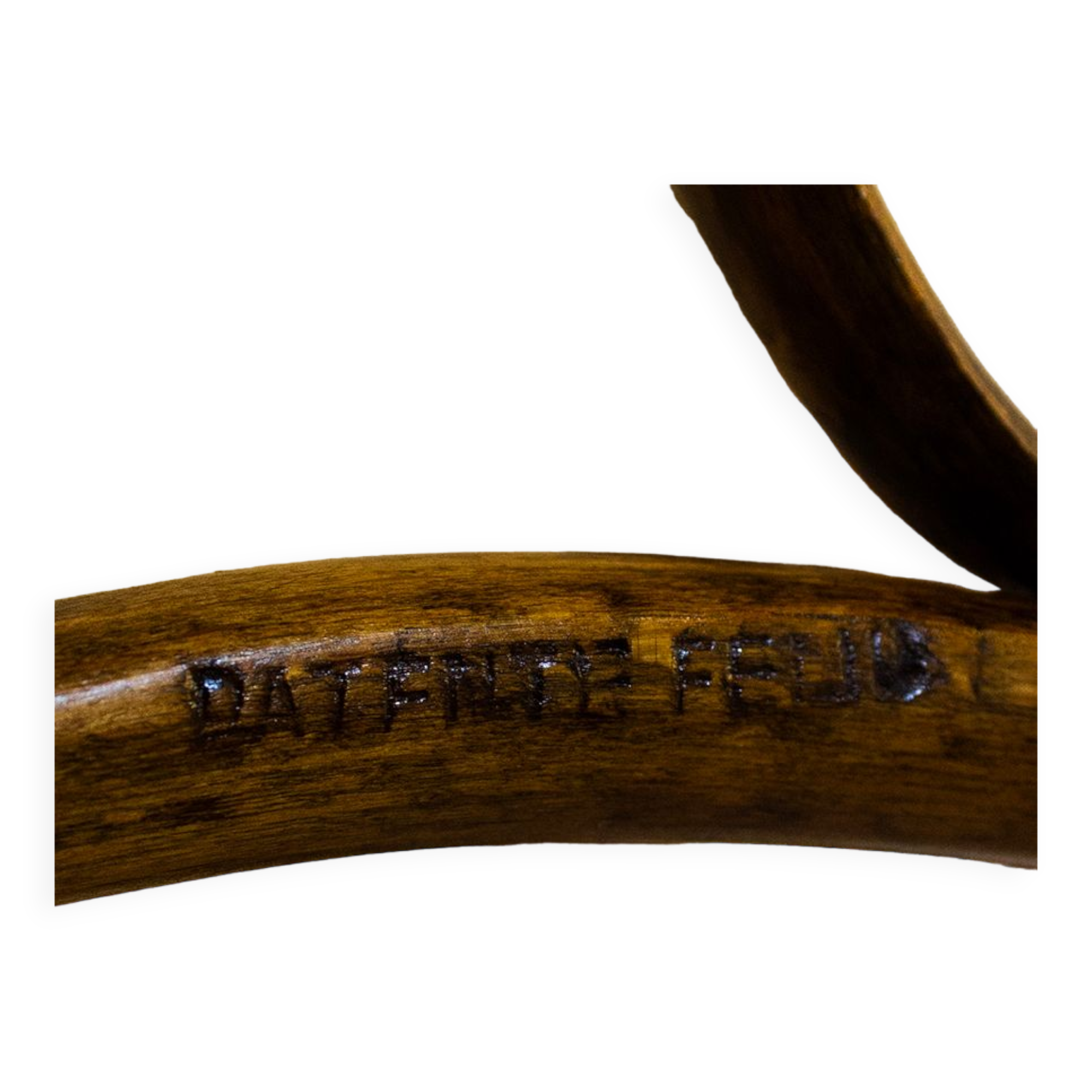 Antique Spanish Bentwood Chair in Oak by Ventura Feliu, 1890s, Set of 4