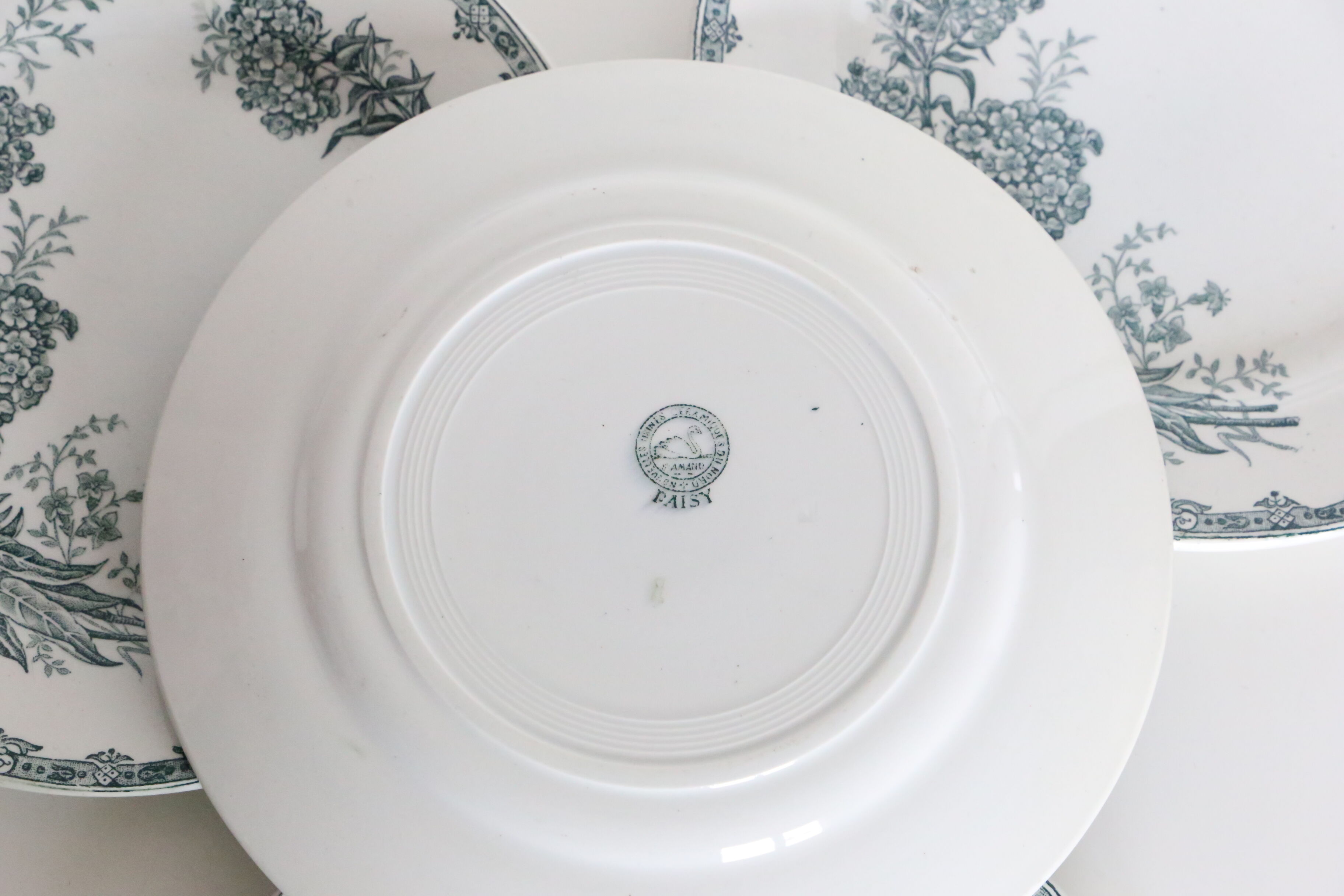 Set of 4 flat plates Terre de Fer, Saint Amand, Daisy