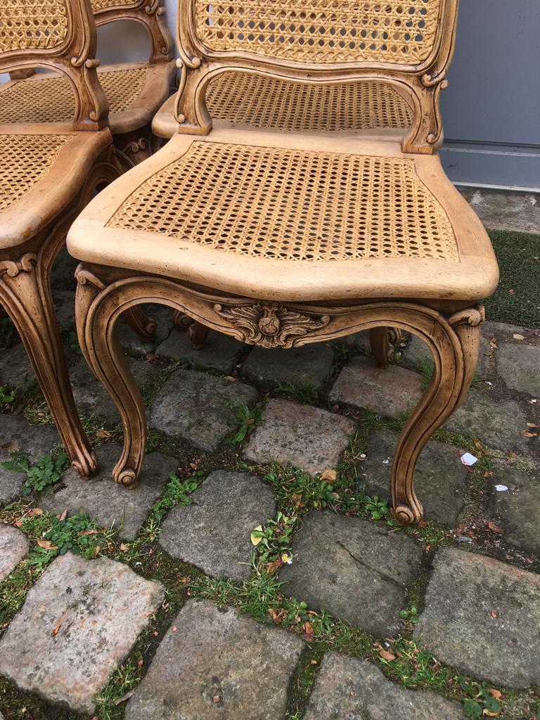 Series of 6 Chairs louis xv acanthus leaves and shell decapitated