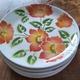 Lot 10 assiettes plates Ontario
