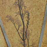 Oval coffee table signed R. Capron, collection les Herbiers, Vallauris – 1960