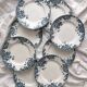 8 flat ironstone plates “Marie Louise” Saint Amand and Hamage