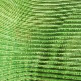 Green armchairs